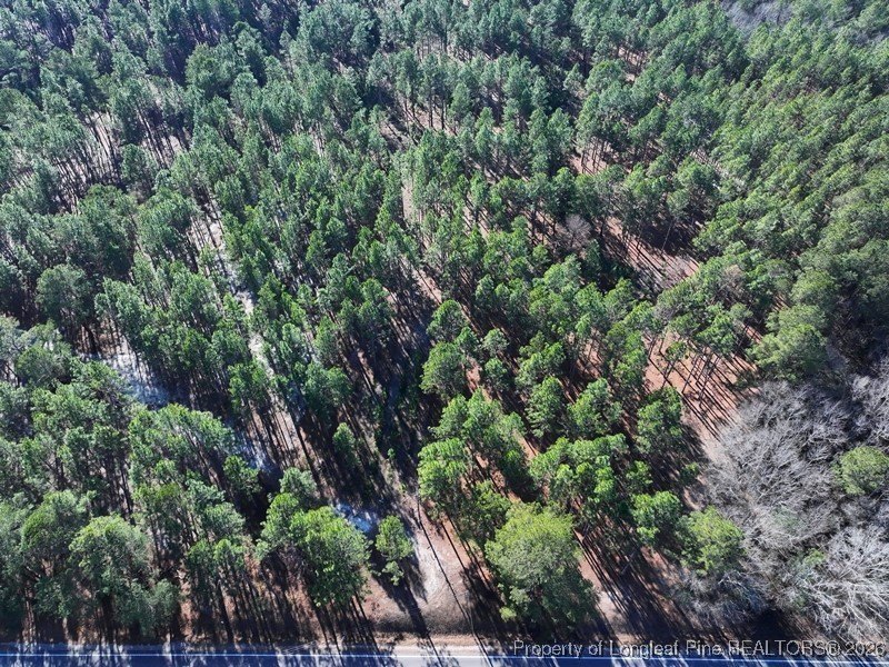 Heavily Wooded Lot in Fairmont