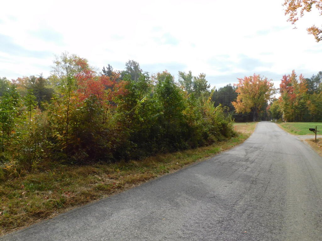 Picture 8