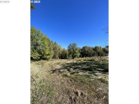 Residential Lots in Dayton, Oregon