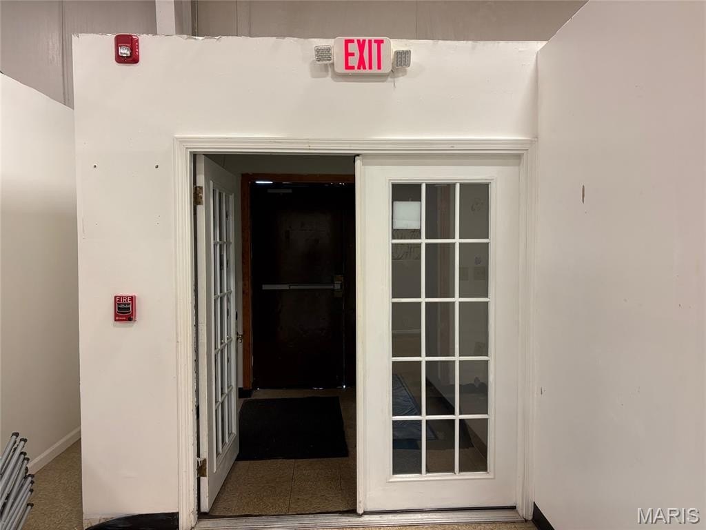 Picture 5