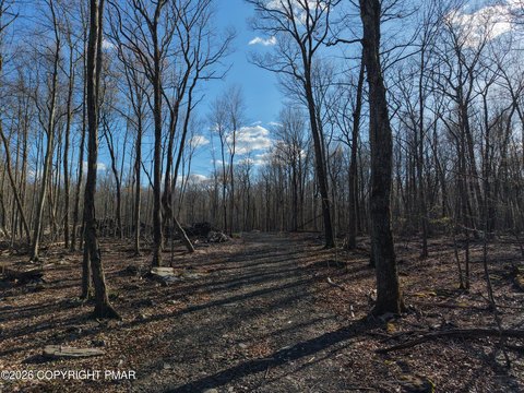 64 Acres Wooded Land