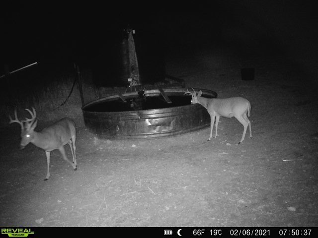 Picture 3