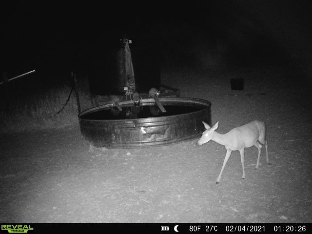 Picture 19