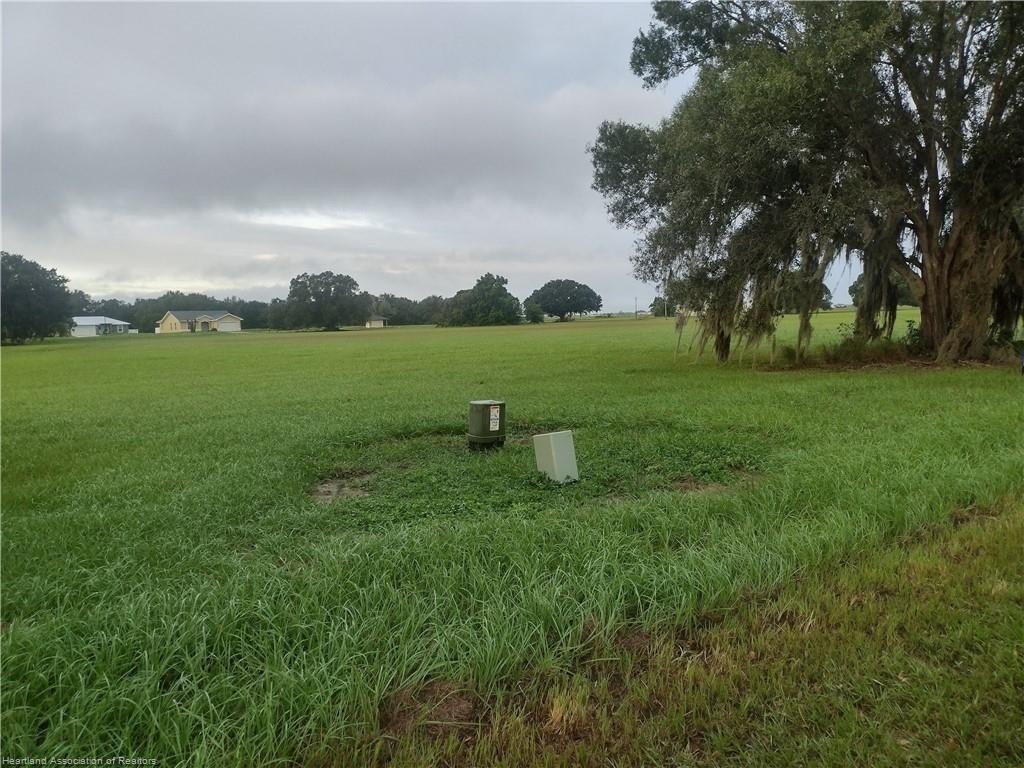 Picture 10