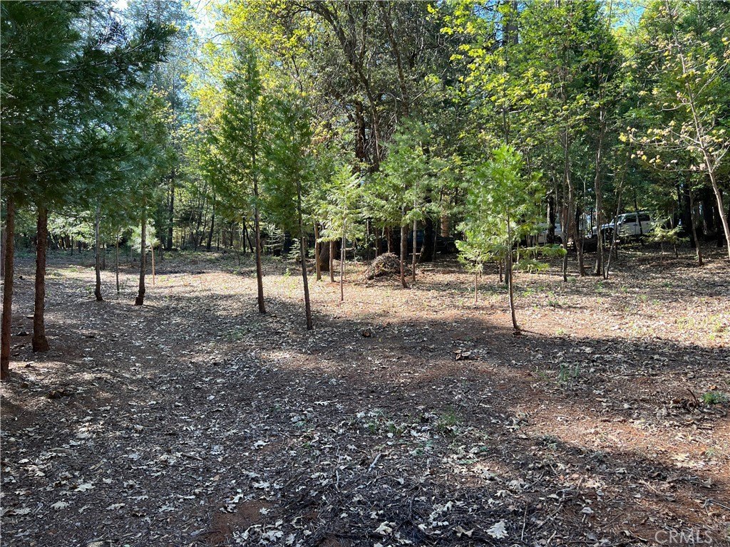 Picture 30