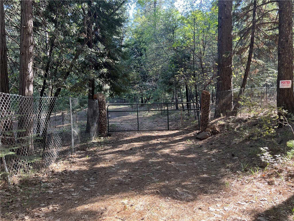 Picture 45