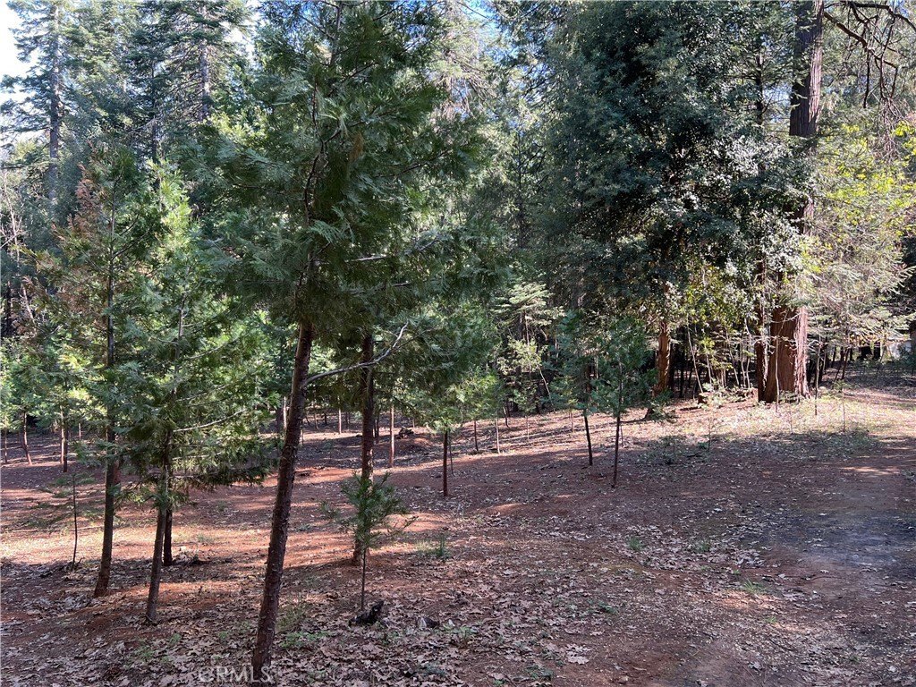 Picture 15