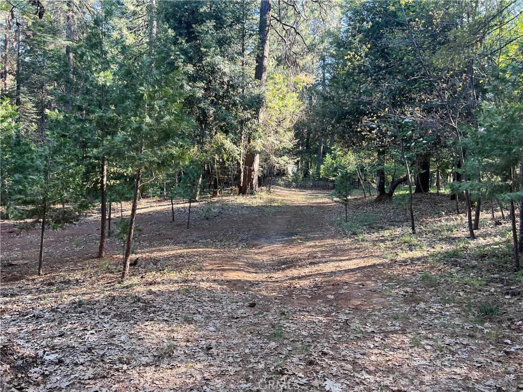Picture 14