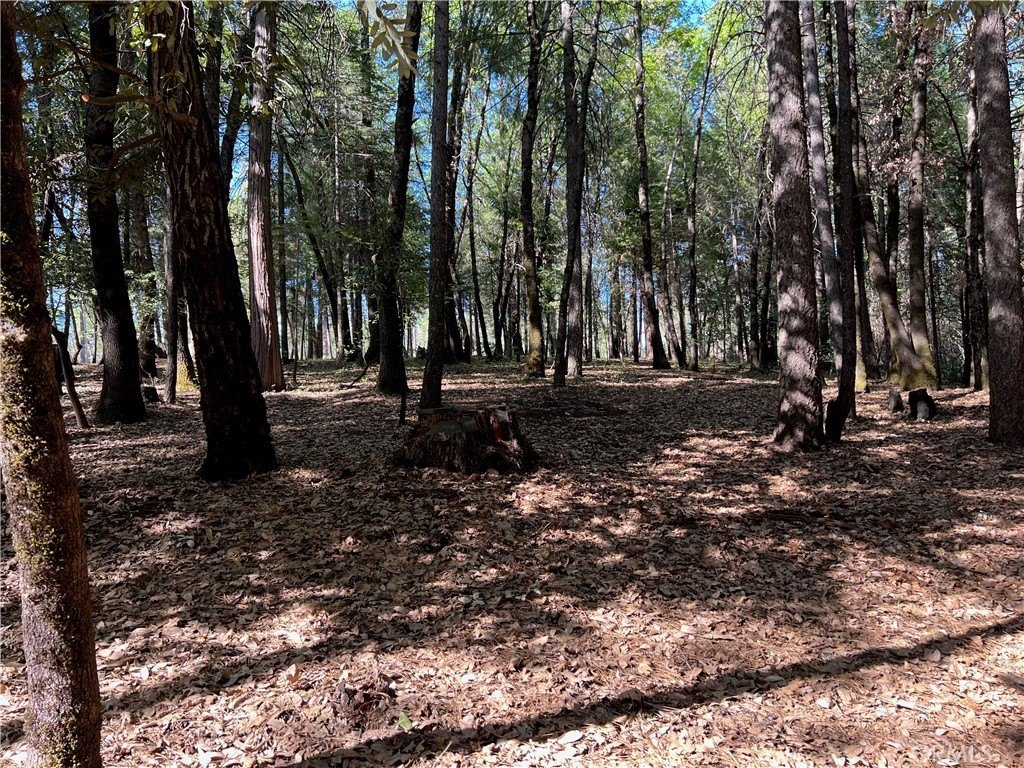 Picture 43