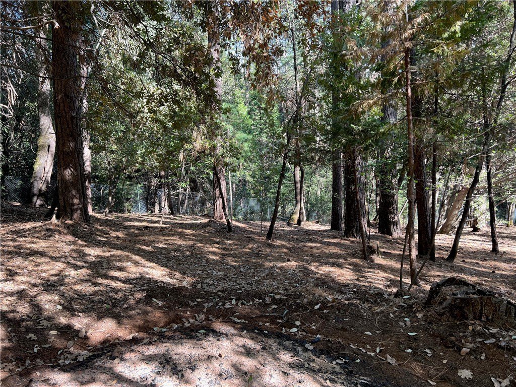 Picture 8