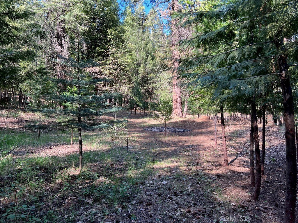 Picture 24