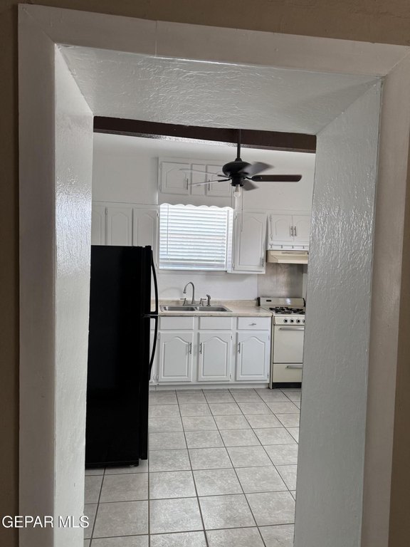 Picture 23