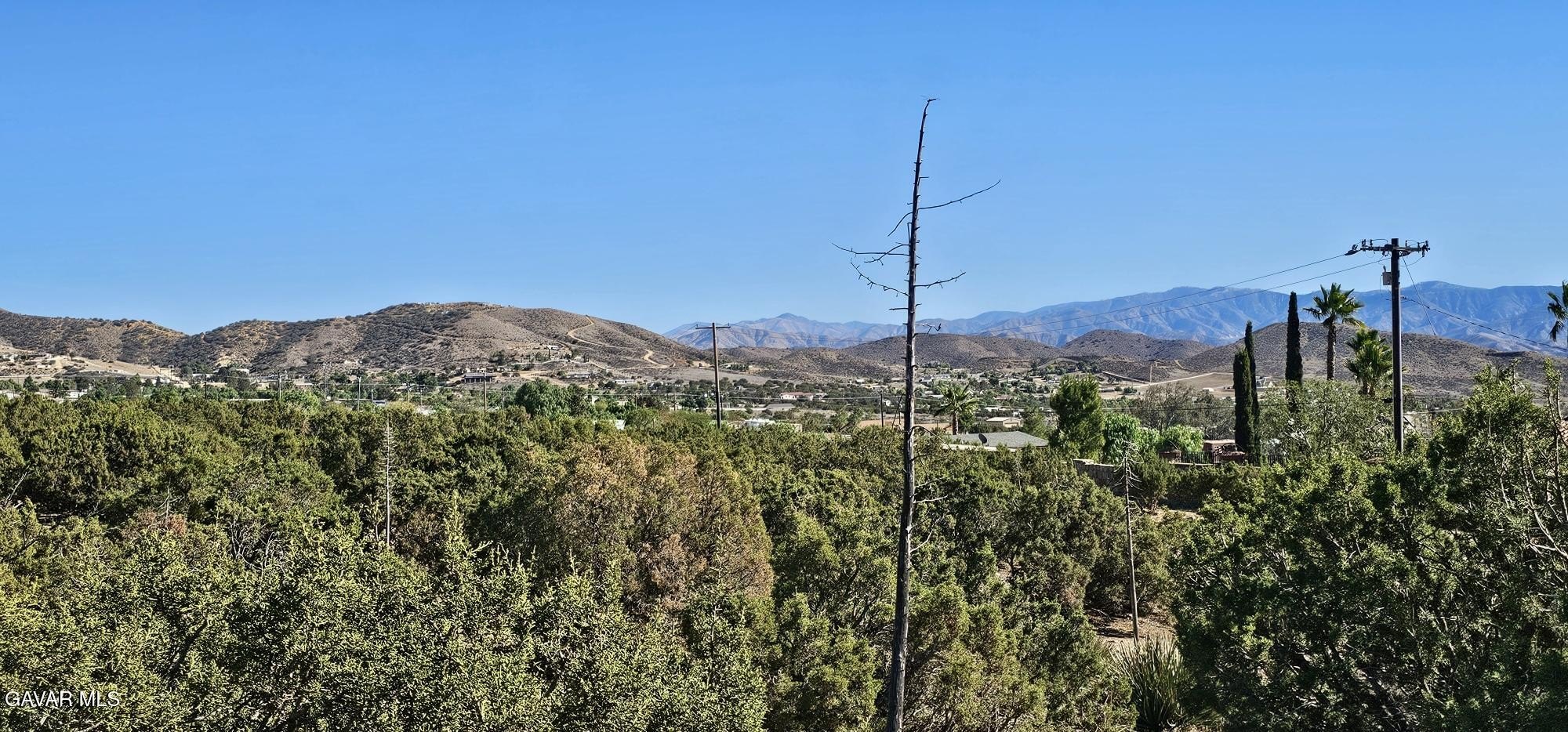 Acton Land: 5 Acres