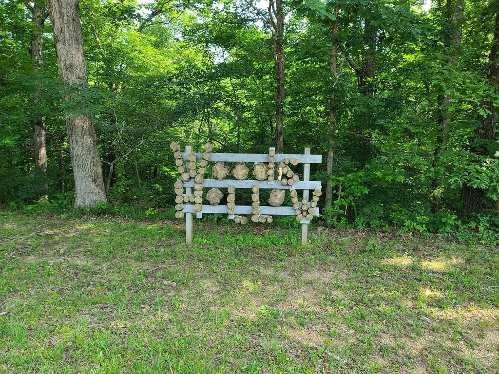 Picture 13