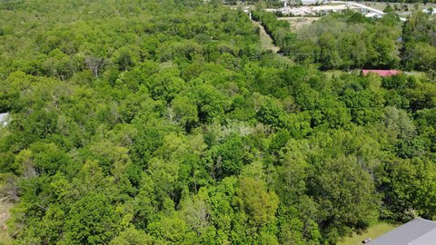 Wooded Acres in Ozarks Heart
