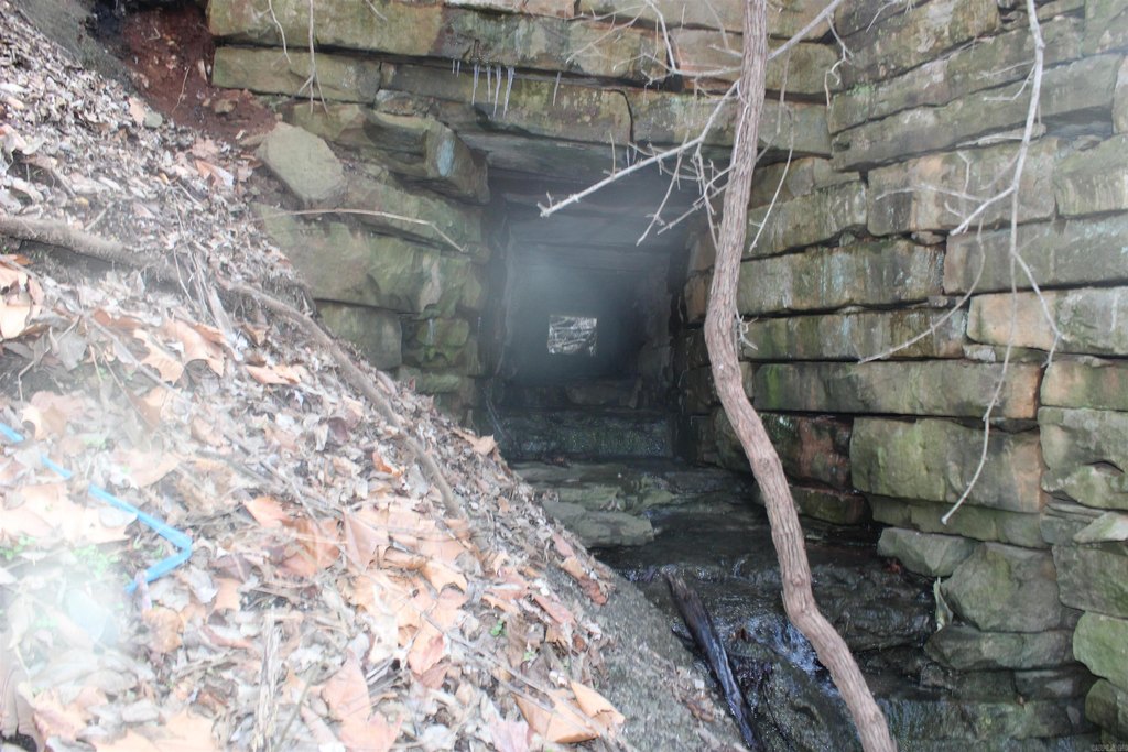 Picture 23