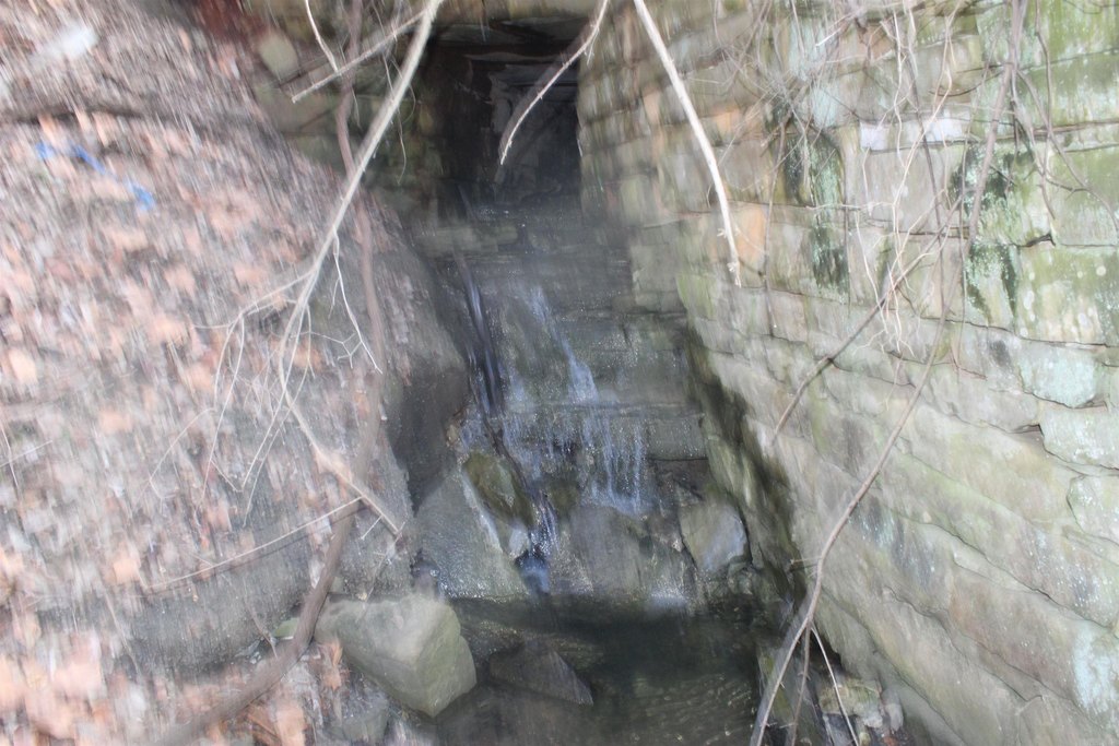 Picture 21