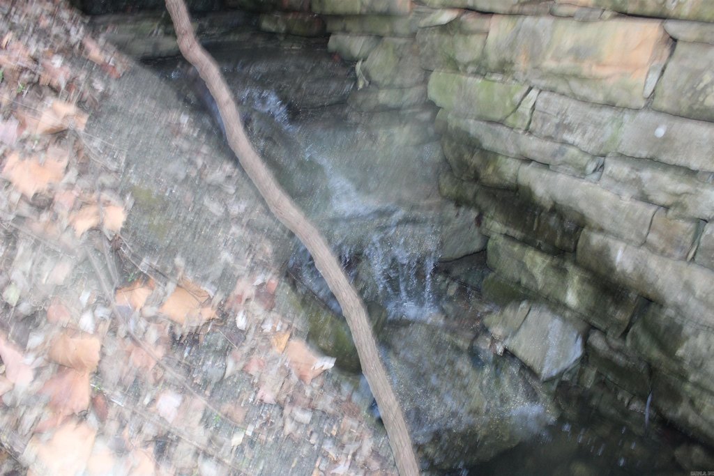 Picture 22