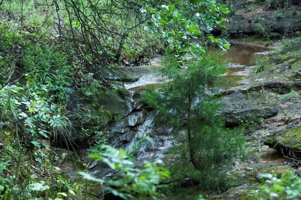 Picture 48
