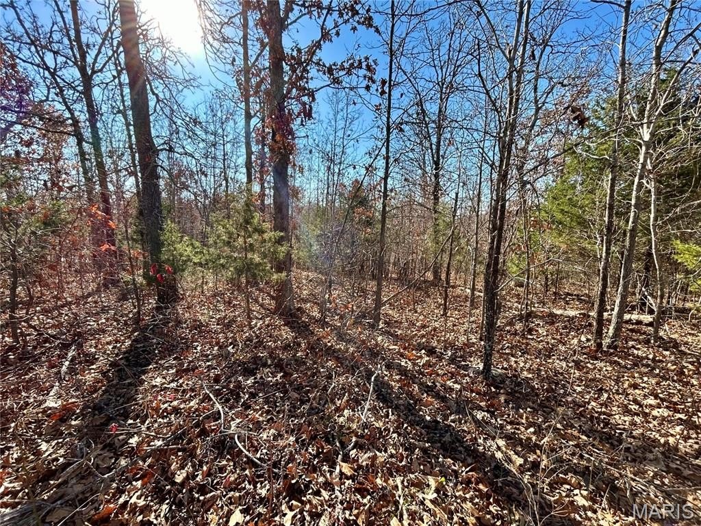Picture 4