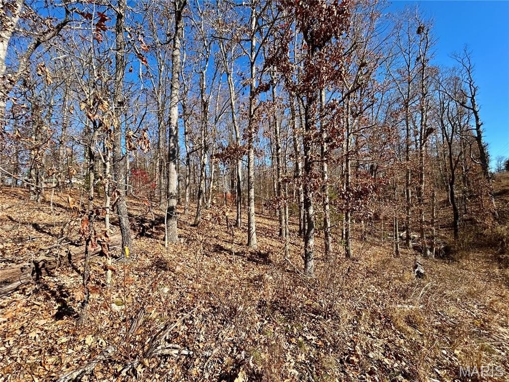 Picture 15