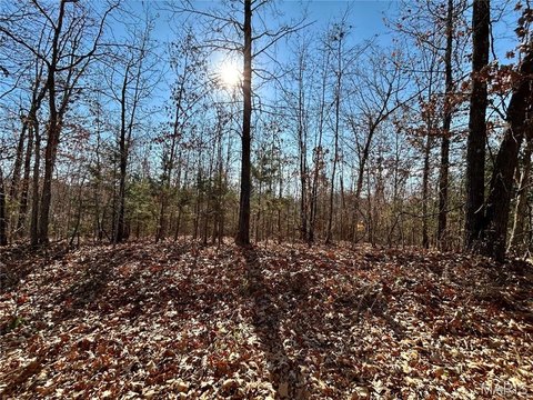 LAND - Salem, MO