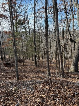 Residential Lot in Wooded Setting