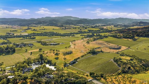 Elevated Vineyard Estate Land