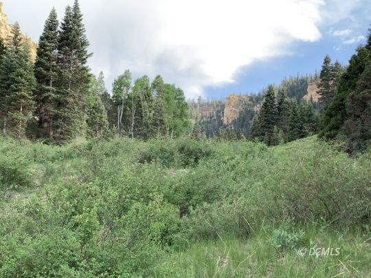 Picture 8