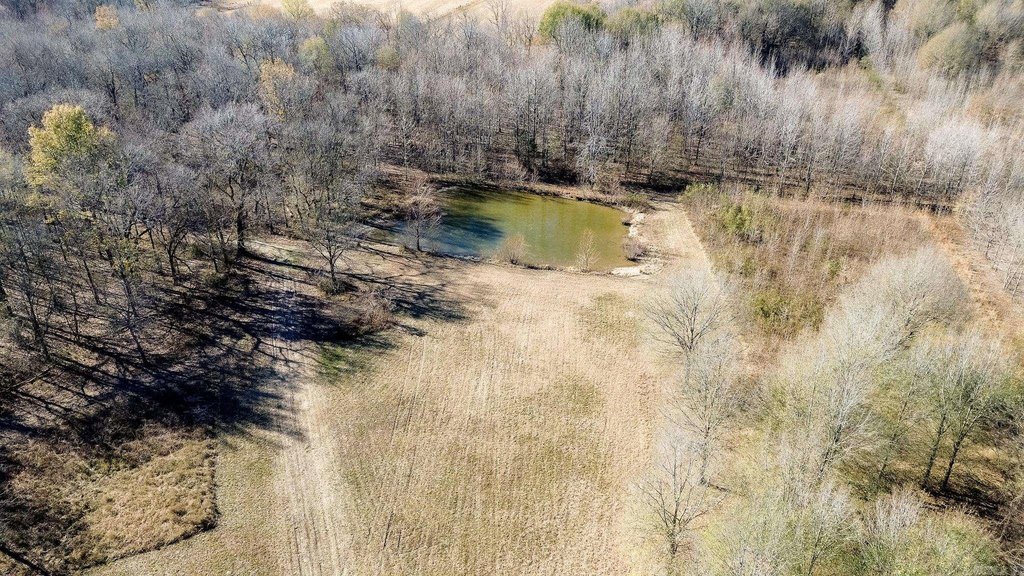 Picture 5