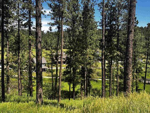 Residential Land Lot with Creek