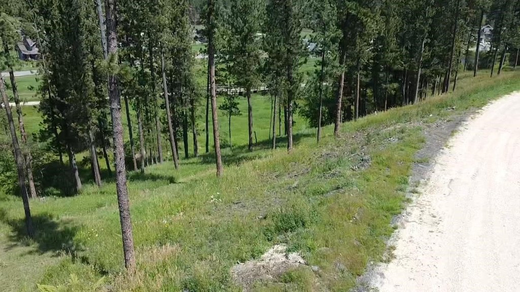 Picture 10