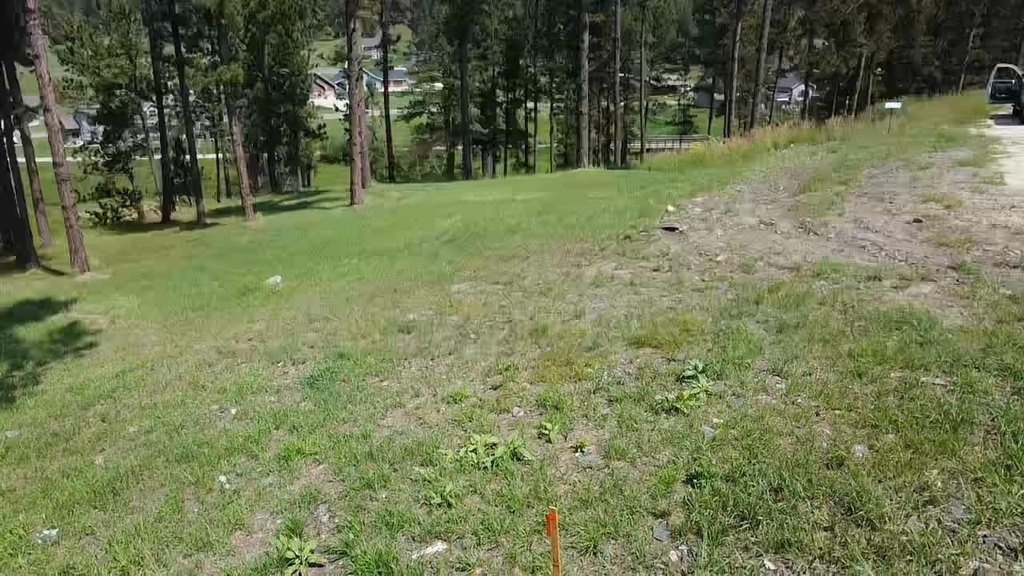 Picture 17