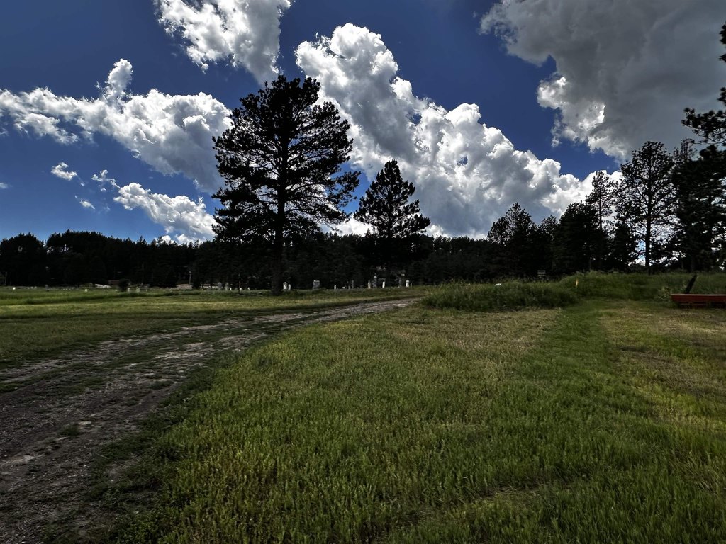 Picture 35