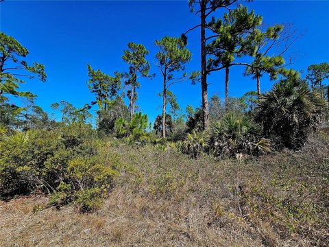 Residential Land in Port Charlotte