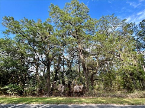 Private Waterfront Homesite Land