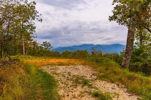 Bryson City Land with Views