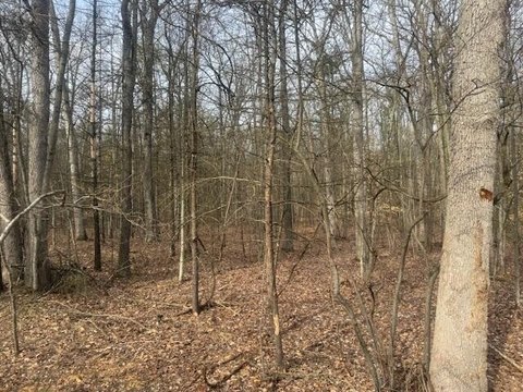 HOLTON, MI