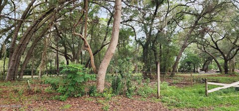 10-Acre Land Parcel in Florida