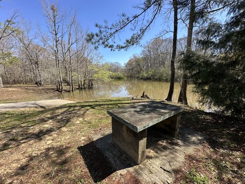 Land in Rural Ponce De Leon