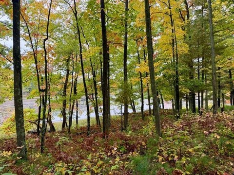 Wooded Hunting Land with Private Lake