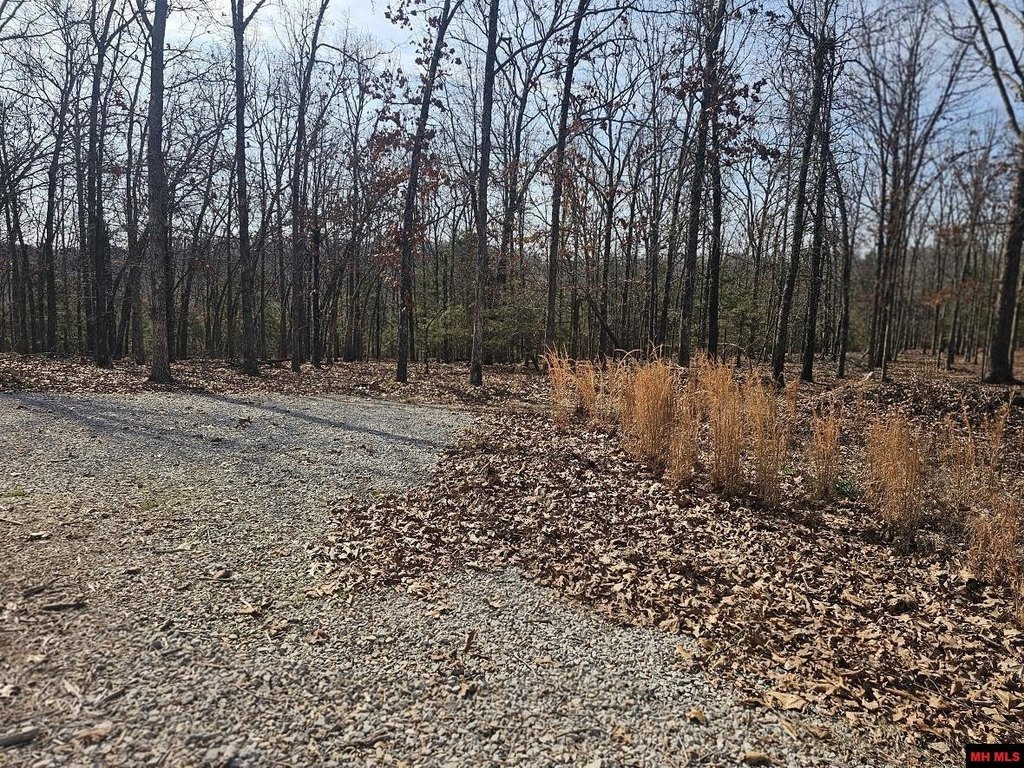 Picture 48
