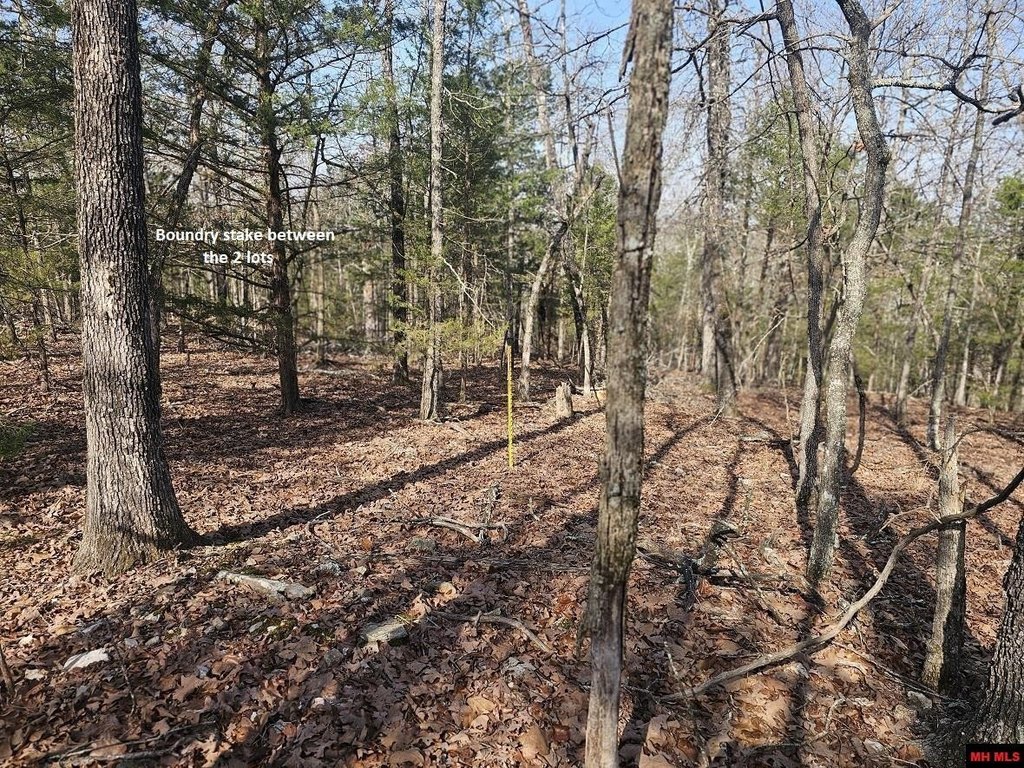 Picture 43
