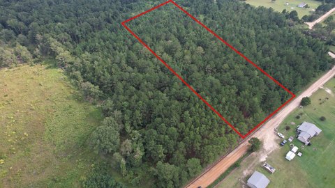 Wooded Lot in Eastman, GA