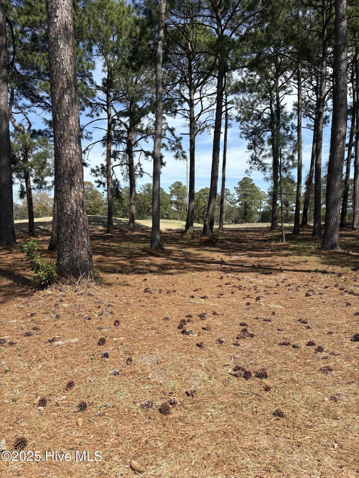Golf Course Lot in Sea Trail