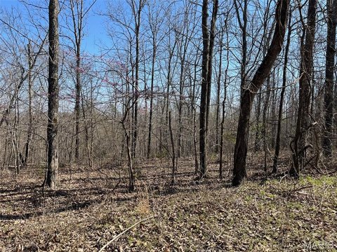 Wooded Hunting Land Tract