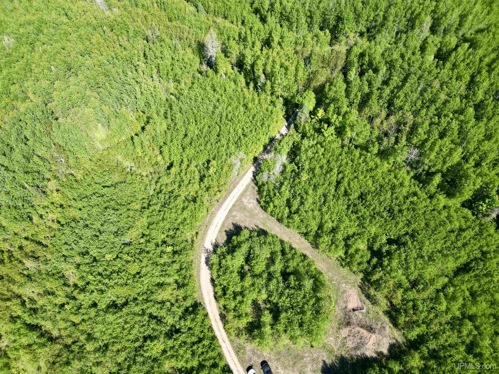 Picture 4