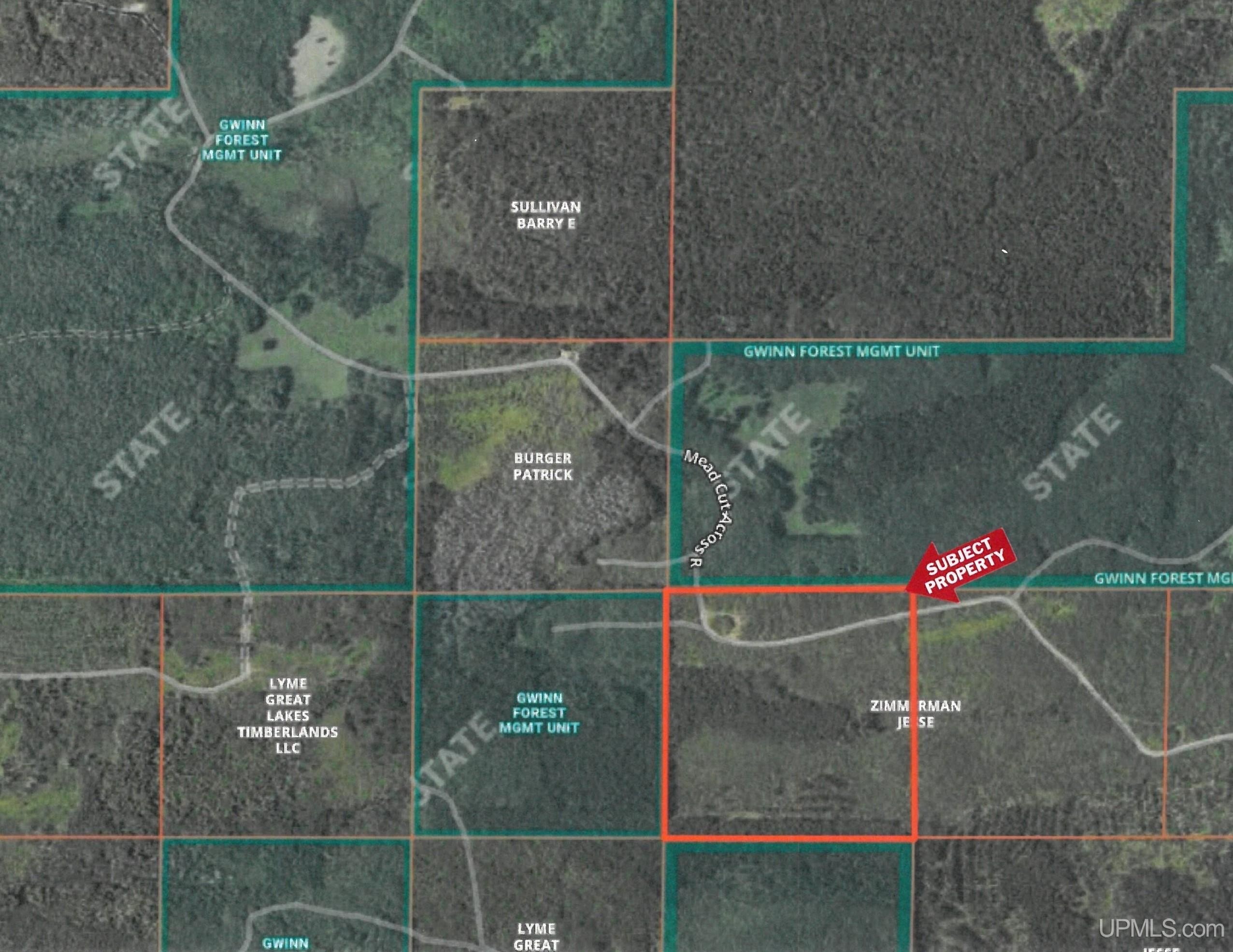 Marquette County Hunting Land
