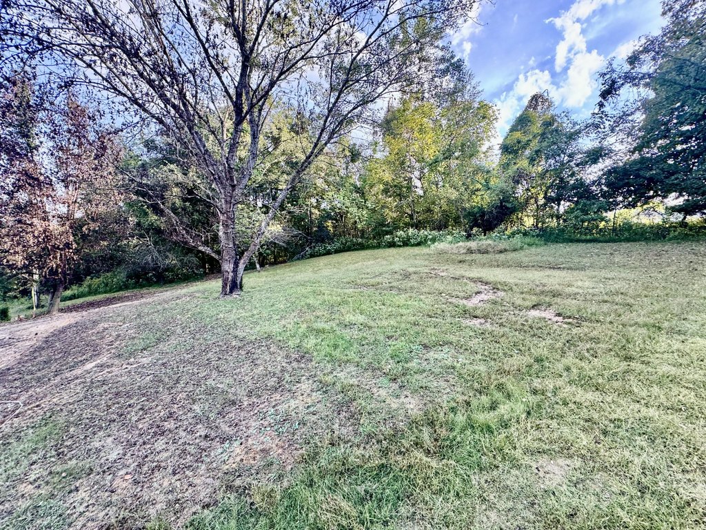 Picture 19