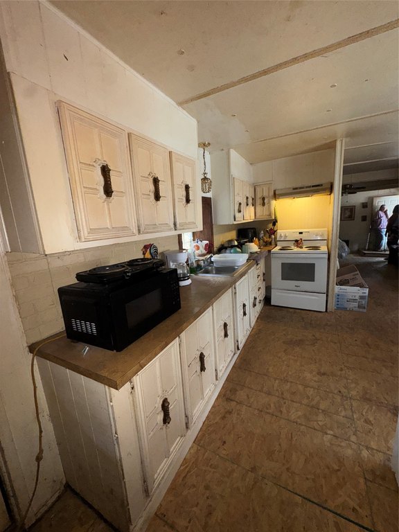 Picture 14